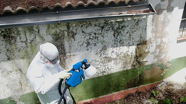 Top rated local Hvac And Air Duct Mold Remediation specialists in Morton, WA